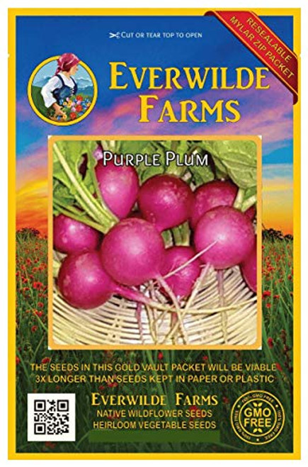 Everwilde Farms - 1 Oz Purple Plum Radish Seeds - Gold Vault Everwilde Farms - 1 Oz Purple Plum Radish Seeds - Gold Vault