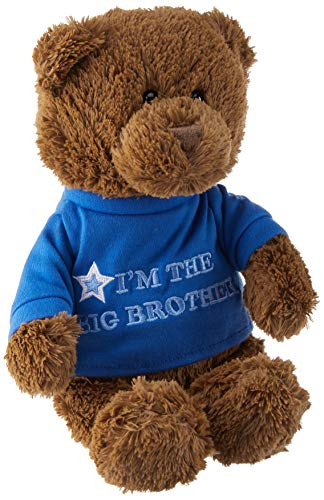 GUND I'm the Big Brother T-Shirt Teddy Bear Stuffed Animal Plush  Blue  12
