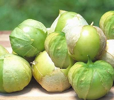 Tomato Tomatillo Toma Verde Great Heirloom Garden Vegetable by Seed Kingdom Bulk 2 000 Seeds