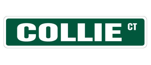 COLLIE Street Sign dog pet lover owner collies  Indoor Outdoor   24" Wide Plastic Sign