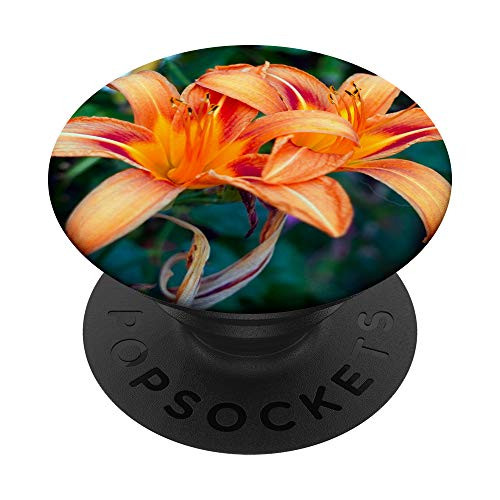 Orange Lilies Nature Design PopSockets PopGrip  Swappable Grip for Phones  and  Tablets