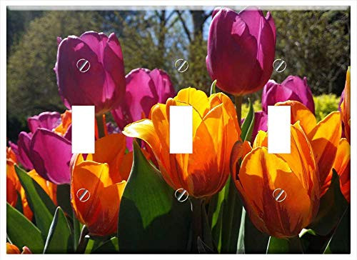 Switch Plate Triple Toggle - Tulips Purple Yellow Spring Nature Flower Floral
