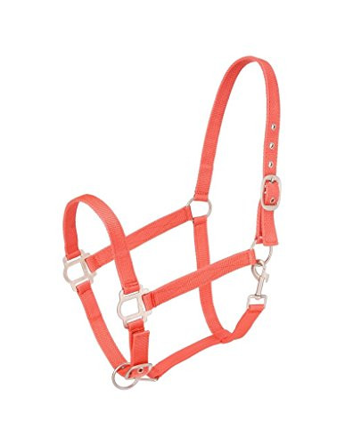 Tough 1 Nylon Halter with Satin Hardware  Orange  Horse
