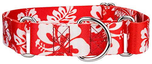Country Brook Petz - 1 1 2 Inch Red Hawaiian Martingale Dog Collar - Medium