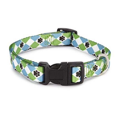 Casual Canine Nylon Pooch Patterns Dog Collar  Fits Necks 10" to 16"  Blue Argyle