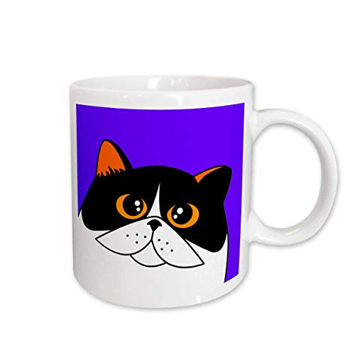 3dRose The Curious Cat Calico with Orange Eyes Purple Mug  11-Ounce