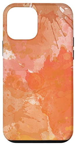 iPhone 12 mini Colorful Paint Splash - Art  Modern  Abstract  Colors  Gift Case