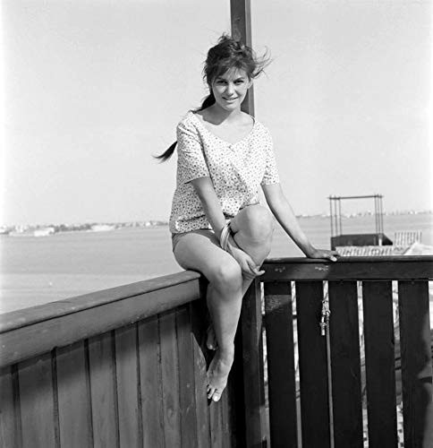 Posterazzi DAP15448 Claudia Cardinale - Sitting on Fence Photo Print  8 x 10  Multi