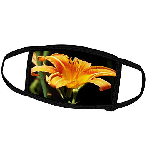 3dRose fm_269423_2 Face Mask Medium  Beautiful Orange Tiger Lily