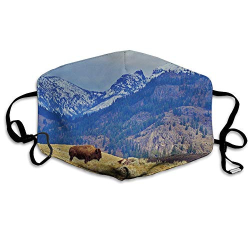 Comfortable Printed mask  Panoramic Landscape with Lonely Bison and Snowy Mountains at Grand Loop Yellowstone Windproof Facial decorations for man and woman