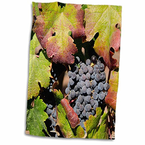 3D Rose California Napa Valley Sonoma County. Purple Grapes on The Vine. TWL_190300_1 Towel  15" x 22"