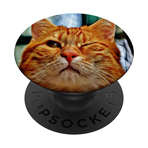 Winking Orange Tabby Cat PopSockets PopGrip  Swappable Grip for Phones  and  Tablets