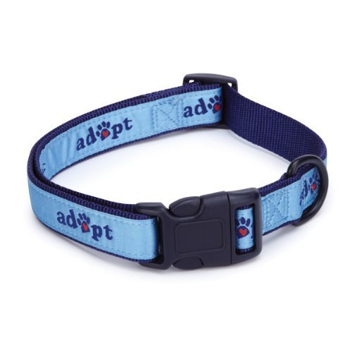 Casual Canine Nylon Adopt Dog Collar  14-20-Inch  Blue