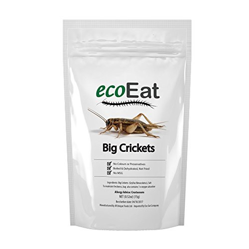ecoEat Edible Big Black Crickets  Field Crickets  - 15g