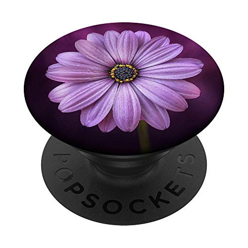 Beautiful Daisy  Pink Purple Flower Photography PopSockets PopGrip  Swappable Grip for Phones  and  Tablets