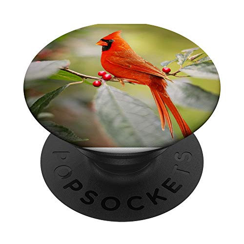 Red Cardinal Bird - Cardinal PopSockets PopGrip  Swappable Grip for Phones  and  Tablets