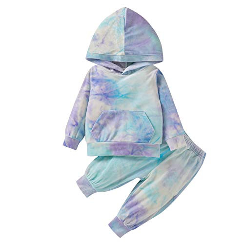 Baby Gril Clothes Long Sleeve Hoodie Sweatshirt with Pant Outfit Sets for Fall Winter Spring  Blue 12-18months Baby Gril Clothes Long Sleeve Hoodie Sweatshirt with Pant Outfit Sets for Fall Winter Spring  Blue 12-18months
