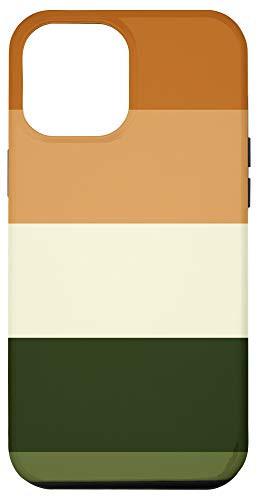 iPhone 12 Pro Max VIntage Retro Fall-Colored Striped Pattern In Green  and  Orange Case