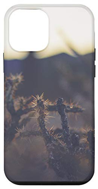 iPhone 12 mini Cactus Desert Cacti Succulent Garden Cool Plant Lover Gifts Case iPhone 12 mini Cactus Desert Cacti Succulent Garden Cool Plant Lover Gifts Case