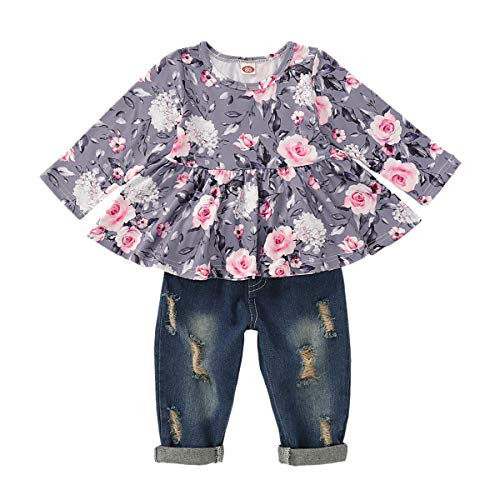 Kids Toddler Baby Girls Outfits Floral Ruffle Long Sleeve Top Ripped Jeans Pant Set Fall Winter Denim Clothes  3-4 T  Purple