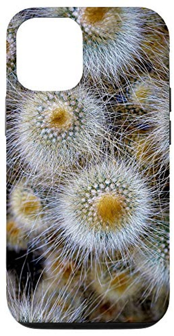 iPhone 12 12 Pro Cactus Cacti Succulent Desert Garden Cool Plant Lover Gifts Case iPhone 12 12 Pro Cactus Cacti Succulent Desert Garden Cool Plant Lover Gifts Case