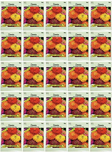 Set of 25 Packs of Zinnia California Flower Seed Packets Flower Seeds in Bulk - Great for Creating The Garden of Your Dreams  25  Zinnia - California Mix