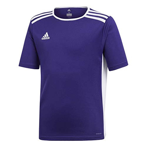adidas Boys' Entrada 18 Jersey  Collegiate Purple  Medium