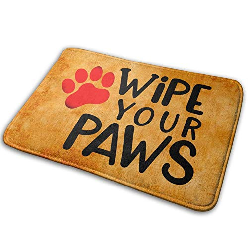 AKUROOU Wipe Your Paws Doormat Funny Floor Mat Home Decor Bathroom Door Mat 15.7 x 23.5 inches