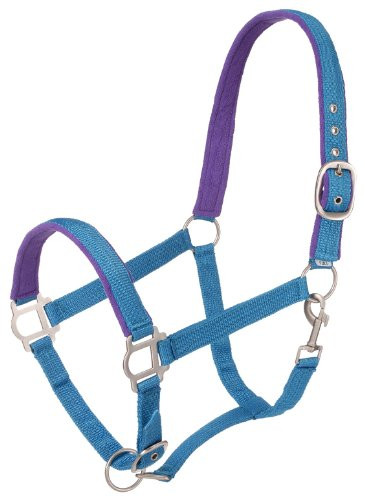 Tough 1 Nylon Padded Halter with Satin Hardware  Turquoise  Yearling