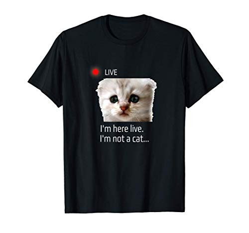 I'm here live. I'm not a cat funny meme lawyer cat filter T-Shirt