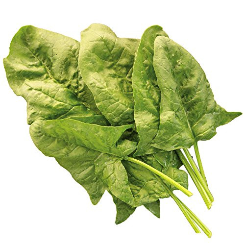 Burpee Double Take Spinach Seeds 200 seeds