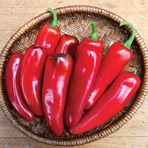 Burpee Born to be Mild Hot Pepper Seeds 20 seeds