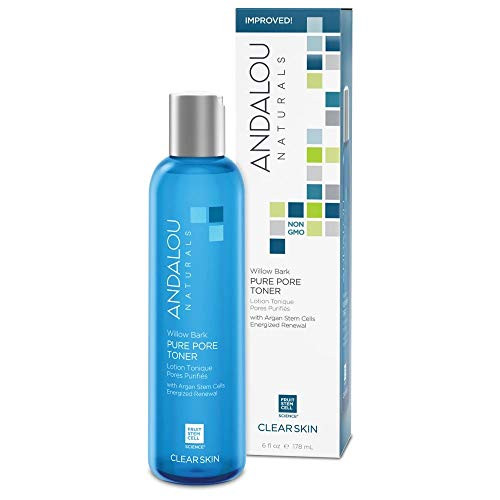 Andalou Naturals Willow Bark Pure Pore Toner 6 Ounces