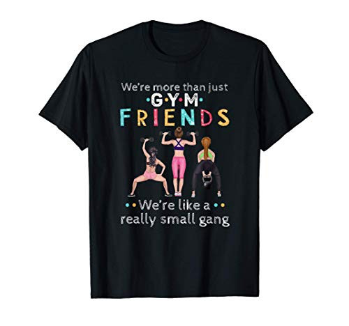 We're More Than Just Gym Friends T-Shirt