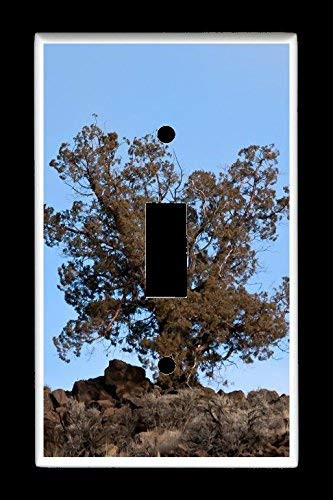 Single Toggle  1-toggle  Light Switch Plate Cover - Trees - Alone Tree Design f1SXrIOd