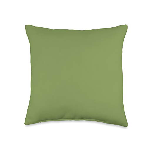 Fancy Solid Color Gifts Co Turtle Green Plain Solid Color Simple Classic Throw Pillow  16x16  Multicolor