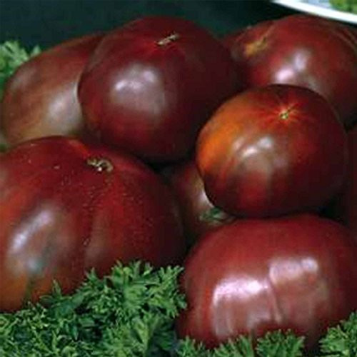 Tomato Garden Seeds - Black Russian - 100 Seeds - Non-GMO  Heirloom Vegetable Gardening Seed