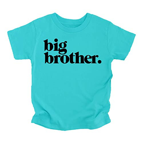 Bold Promoted to Big Brother Sibling Reveal Shirt for Boys Sibling Outfit Carribean Blue Short Sleeve Shirt 12 Months