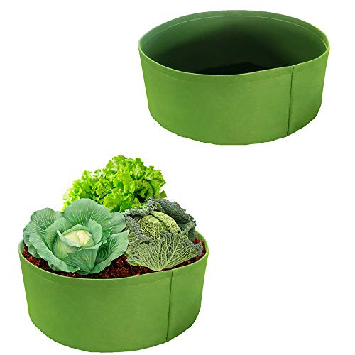 SZDAJAN Fabric Raised Plant Beds Extra Large 2 Pack 15gallon 30gallon 50gallon Garden Grow Bags Outdoor Vegetable Raised Bed Planter for Flower Herbs Plants Planting Growing  Green2  15gallon