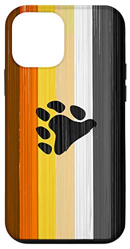 iPhone 12 mini Gay Bear Pride Flag Paint Strokes Case