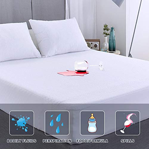 Twin Mattress Protector Waterproof Twin Size Mattress Cover Washable Noiseless Premium Soft Cotton Terry Vinyl-Free Matressprotector Twin for Pets Kids Adults White 38" 75" Twin Mattress Protector Waterproof Twin Size Mattress Cover Washable Noiseless Premium Soft Cotton Terry Vinyl-Free Matressprotector Twin for Pets Kids Adults White 38" 75"