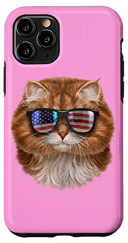 iPhone 11 Pro Fluffy Orange Cat in Flag of USA Theme Aviator Sunglass Case