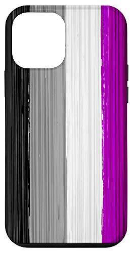 iPhone 12 mini Asexual Pride Flag Paint Strokes Case