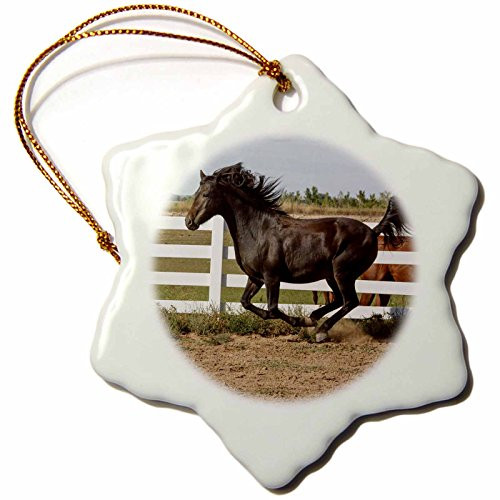 3dRose orn_140347_1 Morgan Horse Running Along White Fence-Na02 Pwo0107-Piperanne Worcester-Snowflake Ornament  3-Inch  Porcelain
