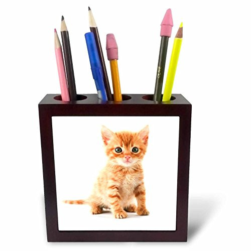 3dRose ph_172022_1 Dreams Catch Em-Tile Pen Holder, 5-Inch