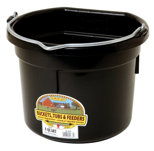 Little Giant Plastic Animal Feed Bucket  Black  Flat Back Plastic Feed Bucket with Metal Handle  8 Quarts   2 Gallons   Item No. P8FBBLACK
