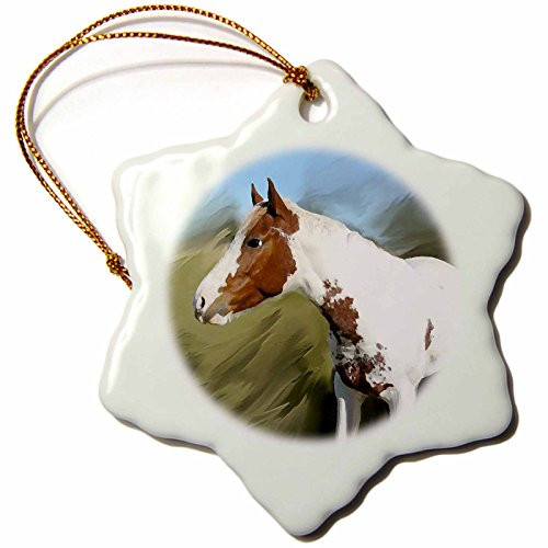 3dRose orn_4587_1 Paint Horse Porcelain Snowflake Ornament 3-Inch 3dRose orn_4587_1 Paint Horse Porcelain Snowflake Ornament 3-Inch