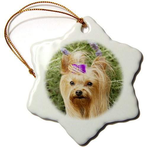 3dRose ORN_140269_1 Purebred Yorkshire Terrier Dog Purple Bow Na02 Pwo0011 Piperanne Worcester Snowflake Ornament Porcelain 3-Inch 3dRose ORN_140269_1 Purebred Yorkshire Terrier Dog Purple Bow Na02 Pwo0011 Piperanne Worcester Snowflake Ornament Porcelain 3-Inch