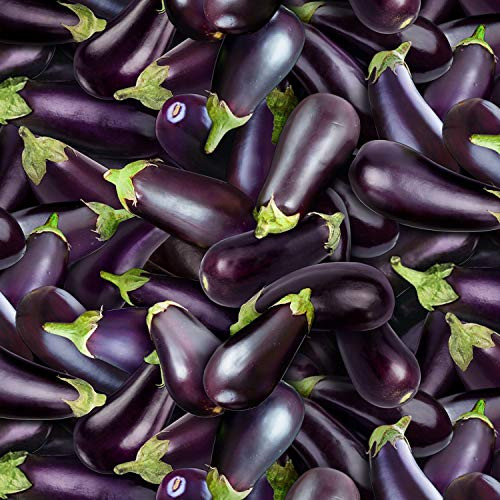 Food Fabric Eggplant in Purple Premium Quality 100% Cotton Fabric by The Yard