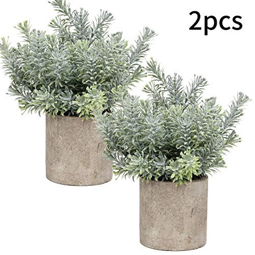 Flojery Mini Potted Plants Artificial Eucalyptus Boxwood Rosemary Greenery in Pots Faux Potted Herbs Small House Plants 8.3"-9" Tall for Indoor Greenery Tabletop Decor Centerpiece  Flocked Pagoda